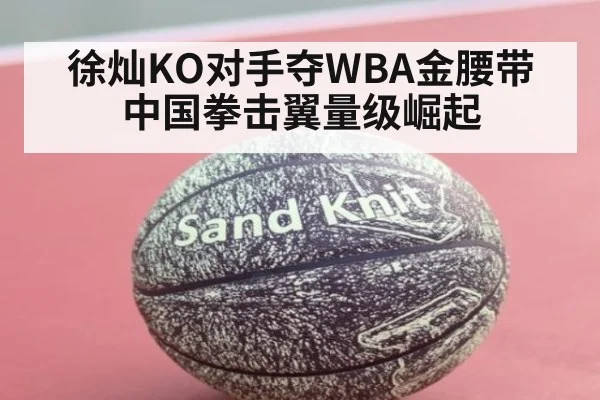 徐灿KO对手夺WBA金腰带 中国拳击翼量级崛起